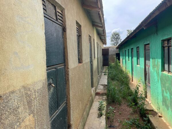 COMMERCIAL HOUSES IN RUSHERE - Image 3