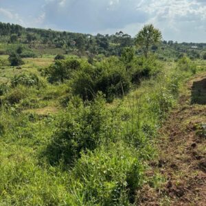 TITLED LAND AT MPENGWE WAKISO