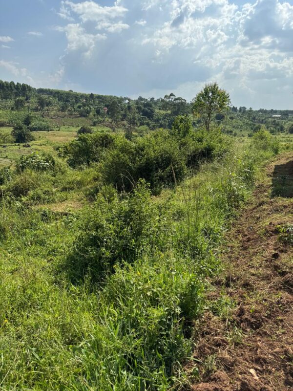 TITLED LAND AT MPENGWE WAKISO
